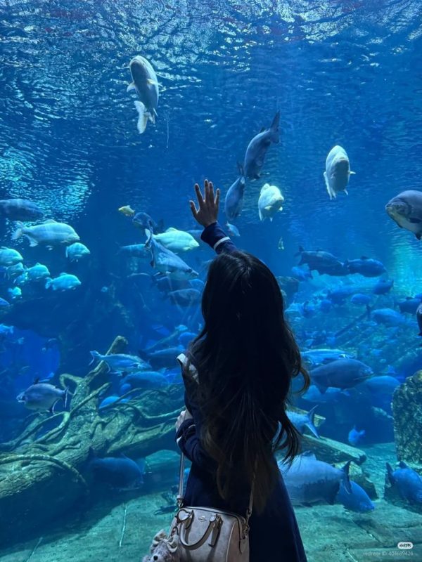 Monterey Bay Aquarium (USA)